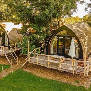 Boomhuis - Vakantiepark de Schreiershoek